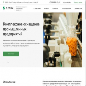 Скриншот главной страницы сайта promaspb.ru