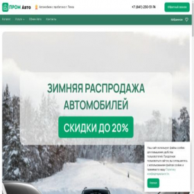 Скриншот главной страницы сайта promauto-pnz.ru