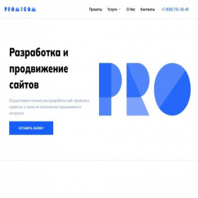 Скриншот главной страницы сайта promicom.ru