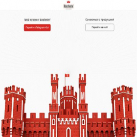 Скриншот главной страницы сайта promo-man.ru
