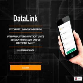 Скриншот главной страницы сайта promo.datalinkdlcoin.xyz
