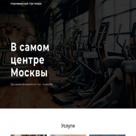 Скриншот главной страницы сайта promo.tri-topora-zal.ru
