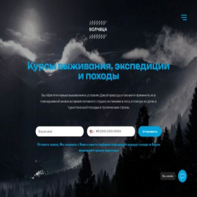 Скриншот главной страницы сайта promo.wolfin.ru