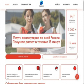 Скриншот главной страницы сайта promoice.ru