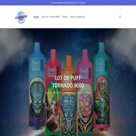 Скриншот главной страницы сайта promotornado.com