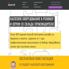 Скриншот главной страницы сайта pronasos36.ru