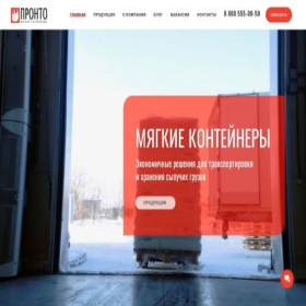 Скриншот главной страницы сайта prontobag.ru