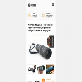 Скриншот главной страницы сайта prosale-newstore.online