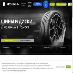 Скриншот главной страницы сайта proshina.pro