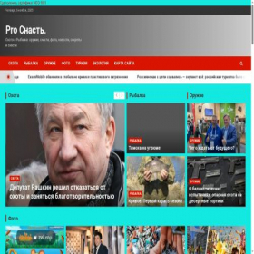 Скриншот главной страницы сайта prosnast.ru