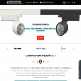 Скриншот главной страницы сайта protehsvet.ru
