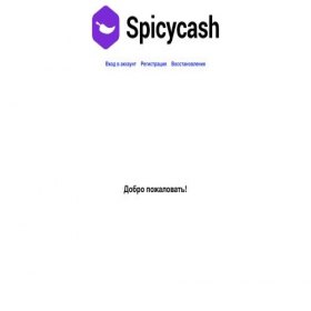 Скриншот главной страницы сайта provider.spicy-cash.pro