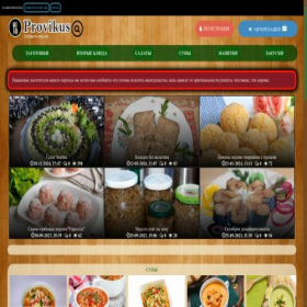 Скриншот главной страницы сайта provikus.ru
