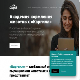 Скриншот главной страницы сайта provimipromo.ru