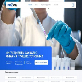 Скриншот главной страницы сайта provis.pro
