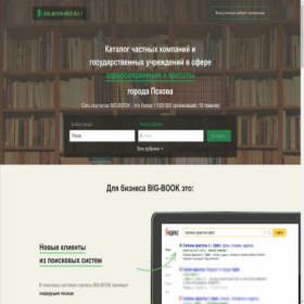 Скриншот главной страницы сайта pskov.big-book-med.ru