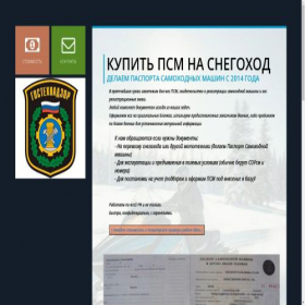 Скриншот главной страницы сайта psmaster.top