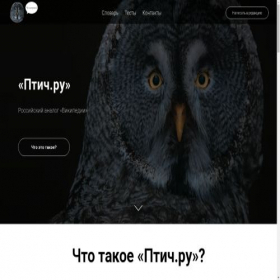 Скриншот главной страницы сайта ptich.ru