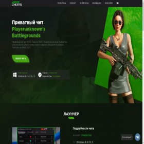 Скриншот главной страницы сайта pubghackers.pro
