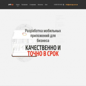 Скриншот главной страницы сайта punicapp.com