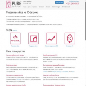 Скриншот главной страницы сайта pure-solutions.ru