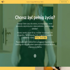 Скриншот главной страницы сайта putzencompany.com