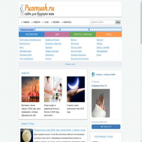 Скриншот главной страницы сайта puzenush.ru