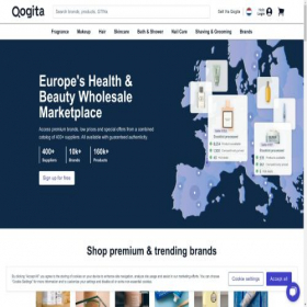 Скриншот главной страницы сайта qogita.com