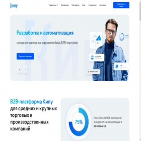 Скриншот главной страницы сайта quipu.ru