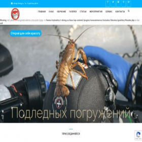 Скриншот главной страницы сайта r-diving.ru