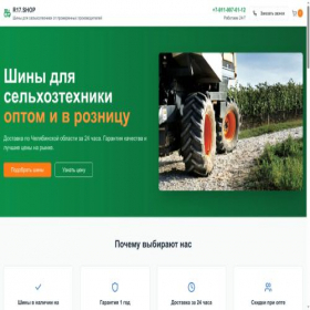 Скриншот главной страницы сайта r17.shop