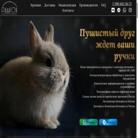 Скриншот главной страницы сайта radagonbun.ru