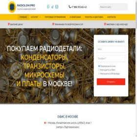 Скриншот главной страницы сайта radiolom.pro