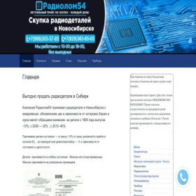 Скриншот главной страницы сайта radiolom54.ru