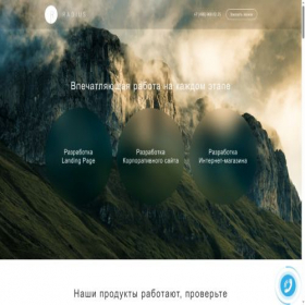 Скриншот главной страницы сайта radius-studio.com