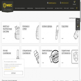 Скриншот главной страницы сайта raidgear.ru