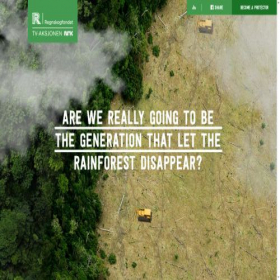 Скриншот главной страницы сайта rainforest.arkivert.no
