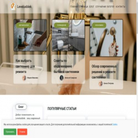 Скриншот главной страницы сайта rakovina24.ru