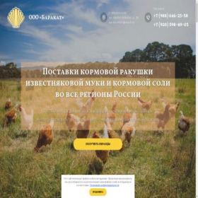 Скриншот главной страницы сайта rakusha.ru