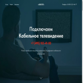 Скриншот главной страницы сайта ram-tv-aviel.tilda.ws