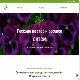Скриншот главной страницы сайта rassada.market