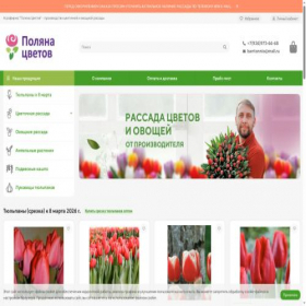 Скриншот главной страницы сайта rassada50.ru