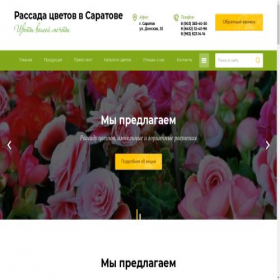 Скриншот главной страницы сайта rassada64.ru