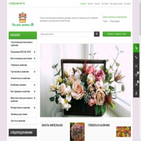 Скриншот главной страницы сайта rassadatsvetov26.ru