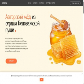 Скриншот главной страницы сайта rassena.ru