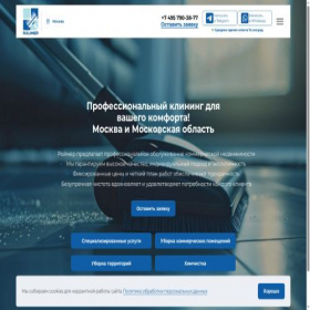 Скриншот главной страницы сайта raumer.vip
