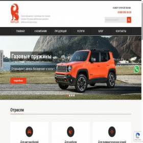 Скриншот главной страницы сайта rayler.ru
