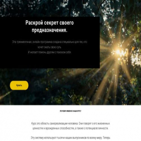 Скриншот главной страницы сайта raymaster.ru