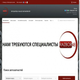 Скриншот главной страницы сайта razbor48.ru