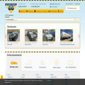 Скриншот главной страницы сайта razbor66.ru